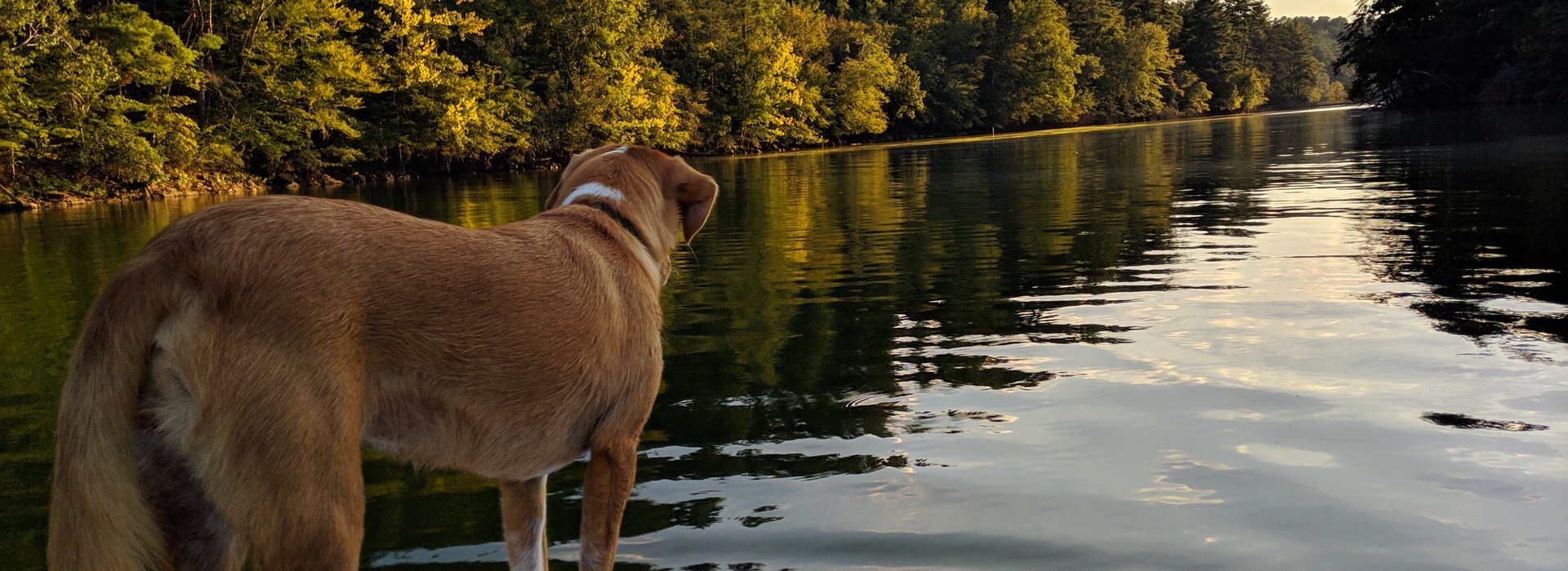 Home Town of Valdese